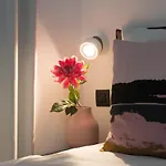 Rog Apartment